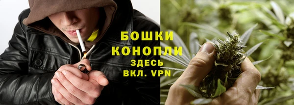 крисы Абдулино