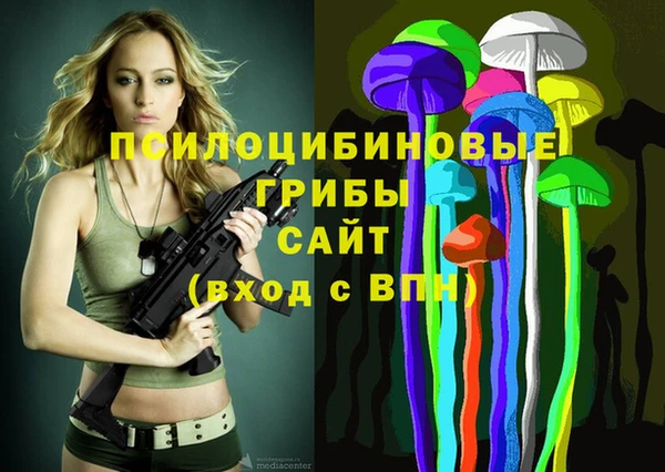 крисы Абдулино