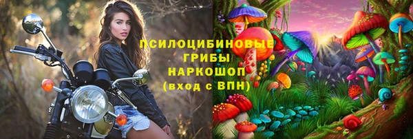 крисы Абдулино