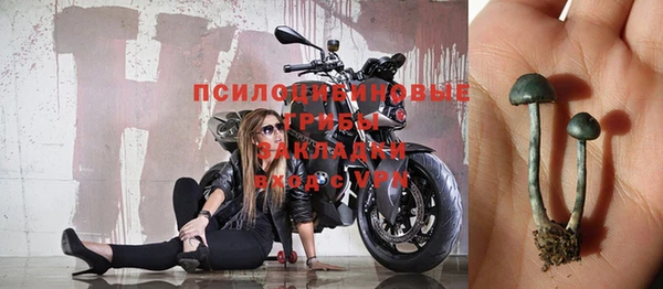 крисы Абдулино