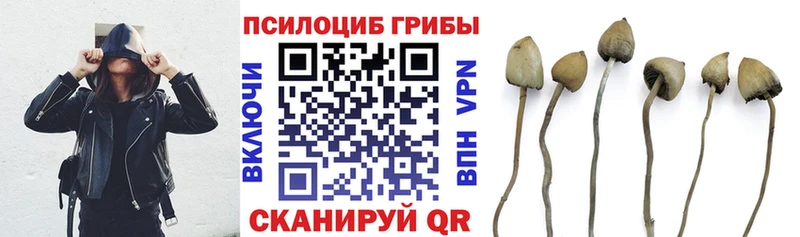 даркнет как зайти  Учалы  Псилоцибиновые грибы Psilocybe 